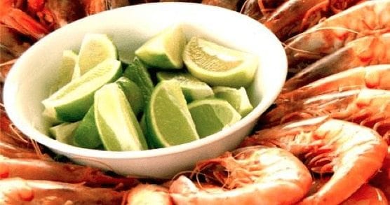copa - cocktail de camarao