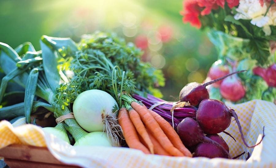 dieta vegana ricca di proteine