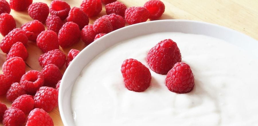 fiquei sempre atento à quantidade de carboidratos dos iogurtes se estiver fazendo uma dieta low-carb